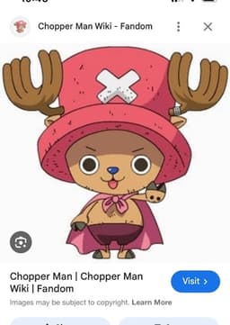 Chopper man