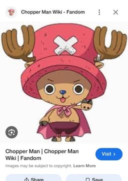 Chopper man