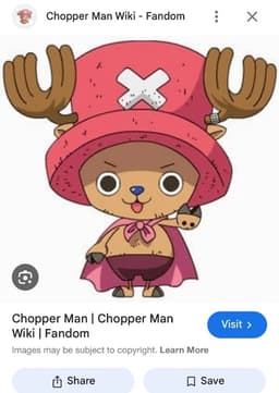 Chopperman