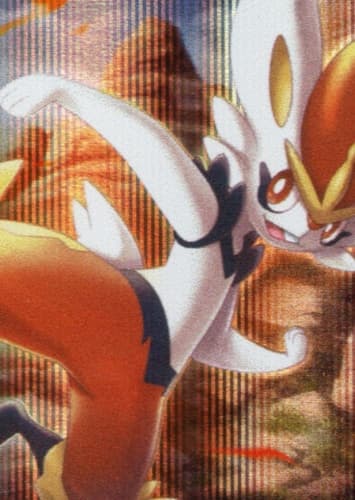 Cinderace / エースバーン