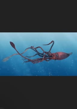 Colossal squid