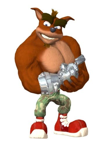 Crunch bandicoot
