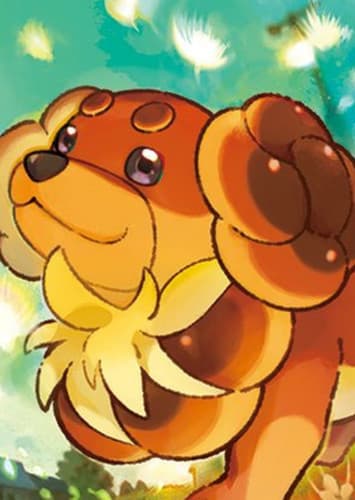 Dachsbun / バウッツェル