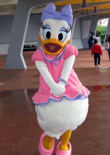 Daisy Duck