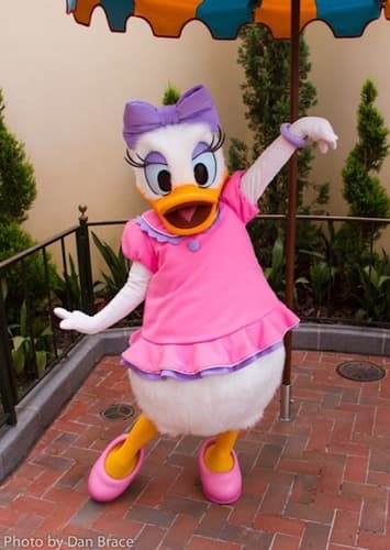 Daisy Duck