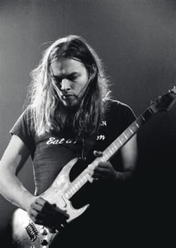 David Gilmour