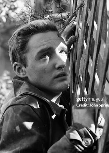 Dennis Hopper