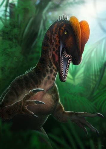 Dilophosaurus