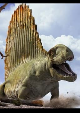 Dimetrodon