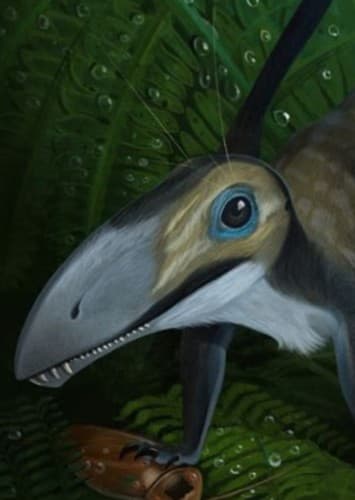 Dimorphodon