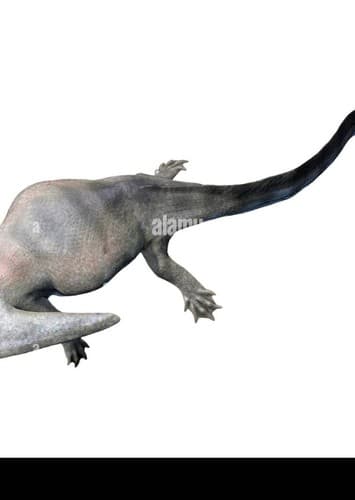 Diplocaulus