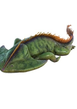 Diplocaulus