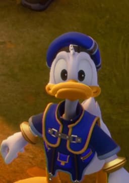 Donald Duck
