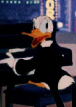 Donald Duck