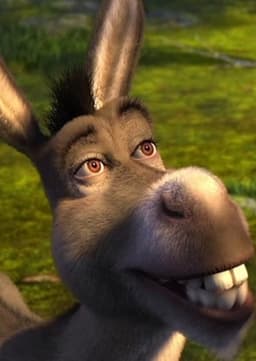 Donkey