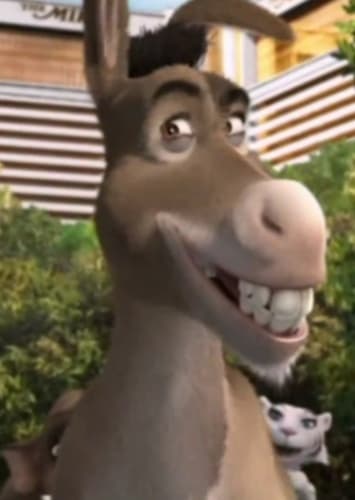 Donkey