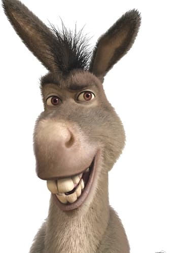 Donkey