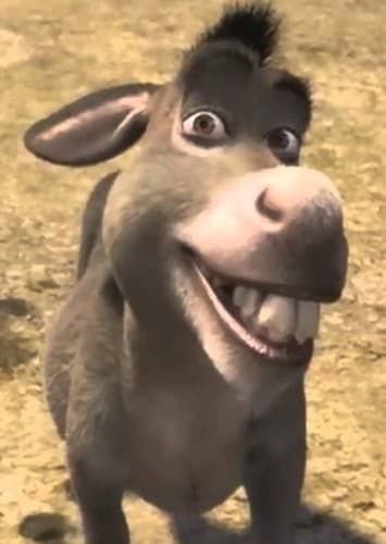 Donkey