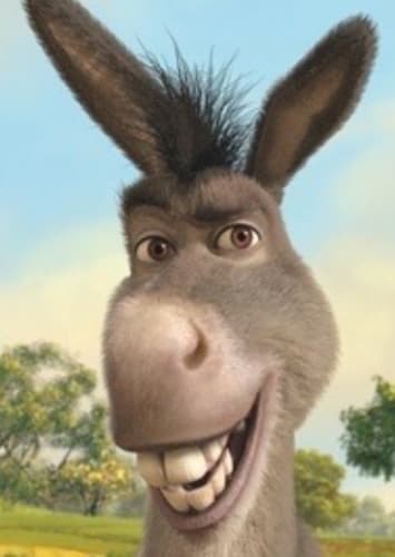Donkey