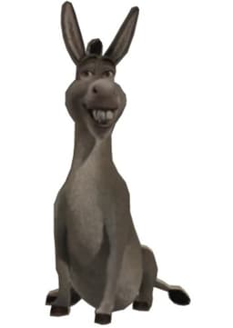 Donkey