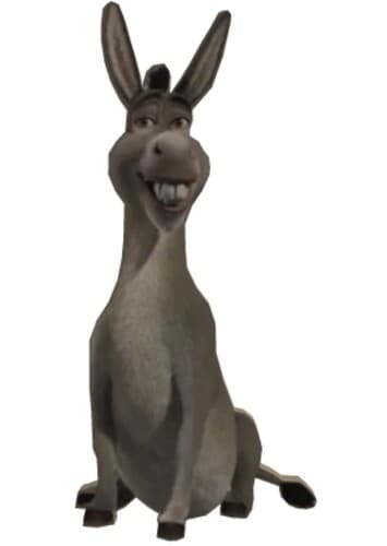 Donkey