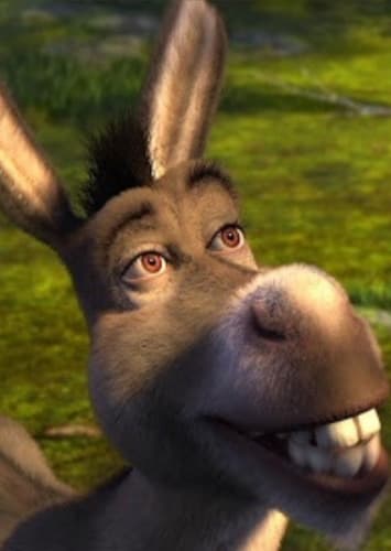 Donkey