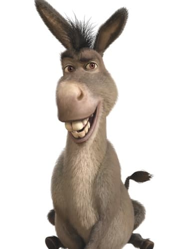 Donkey