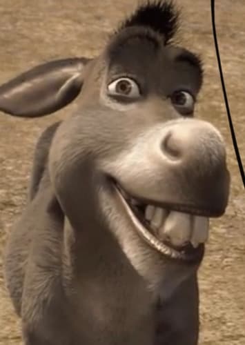 Donkey