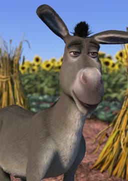 Donkey