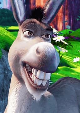 Donkey