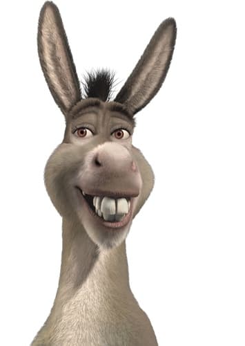 Donkey