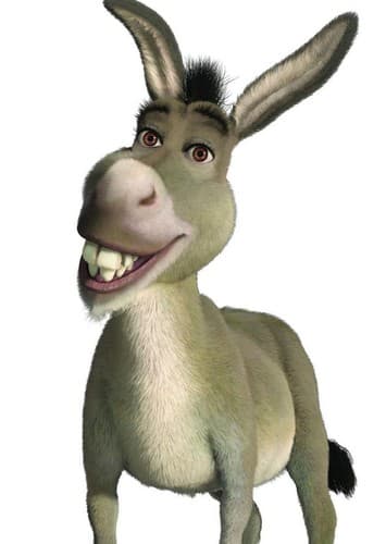 Donkey