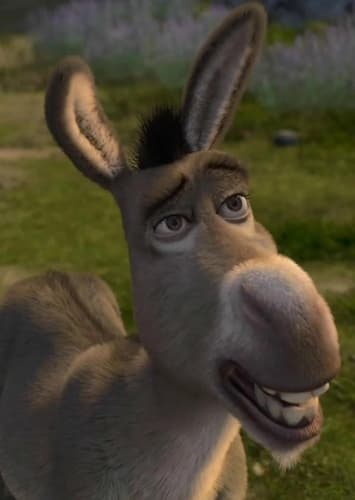 Donkey