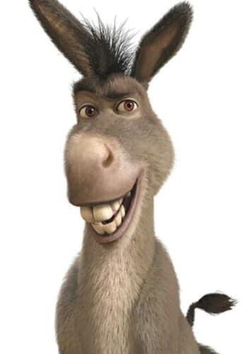 Donkey