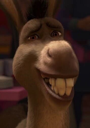 Donkey