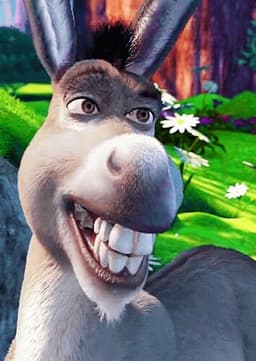 Donkey