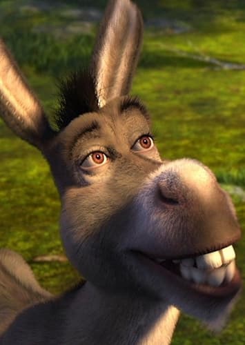 Donkey