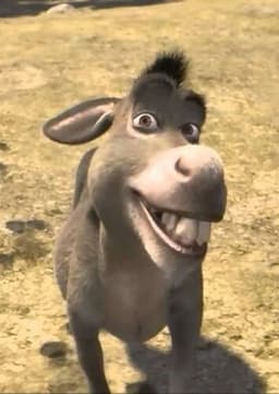 Donkey