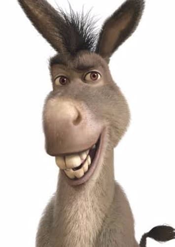 Donkey