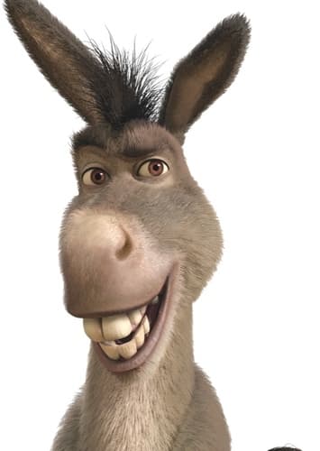 Donkey