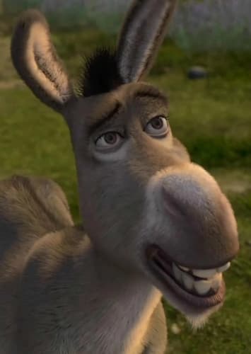 Donkey