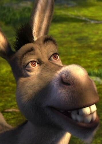 Donkey