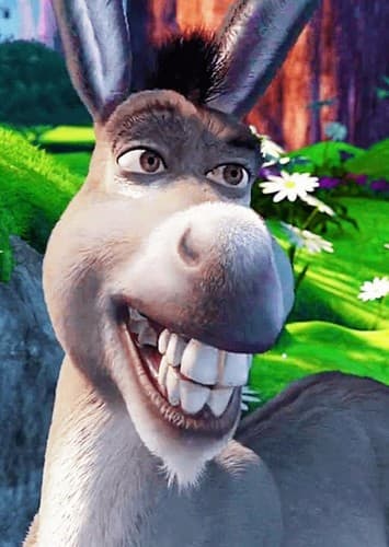 Donkey
