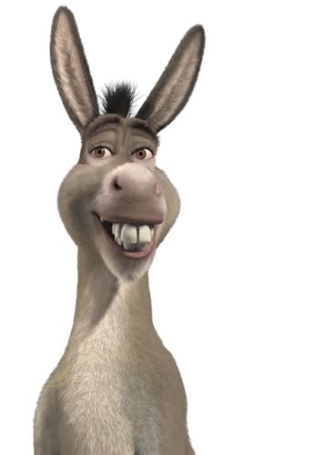 Donkey