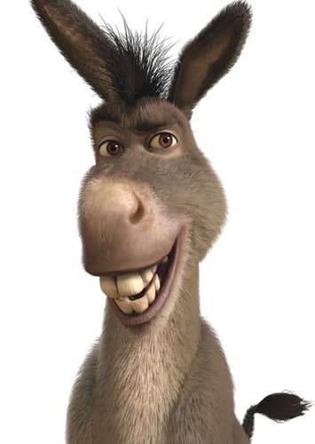 Donkey