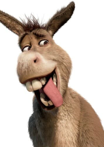Donkey