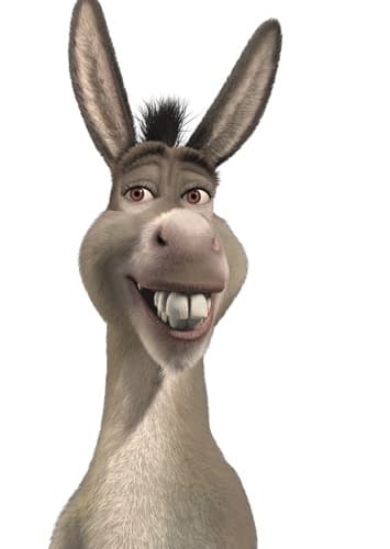 Donkey