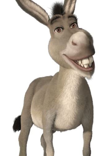 Donkey