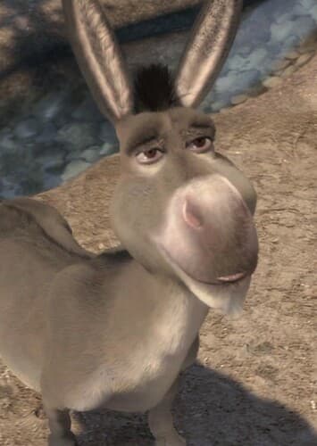 Donkey