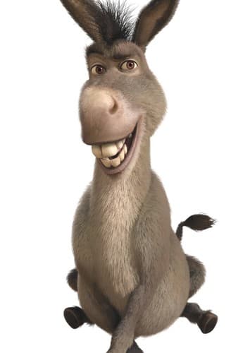Donkey